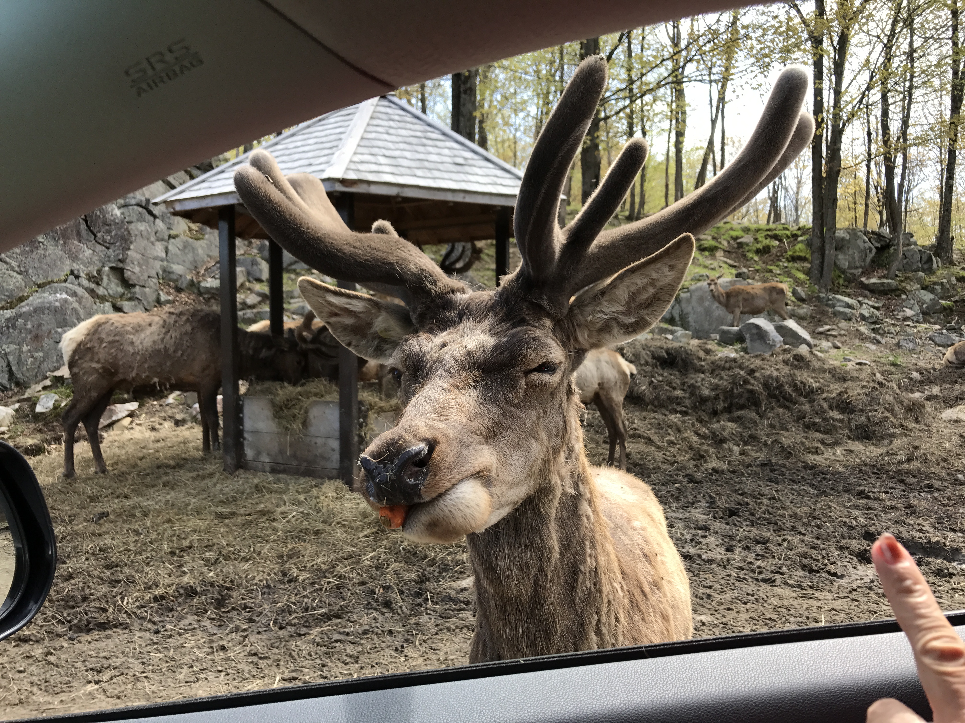 North American Sojourn Day 7 Ottawa Parc Om ga Montr al One